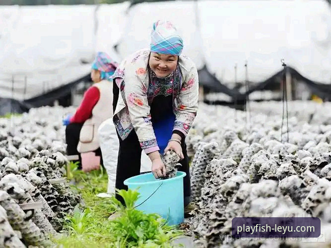 乐鱼APP官方正版下载与使用完全指南